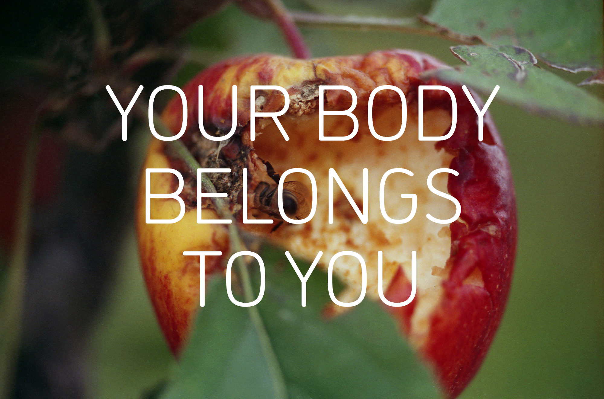 Graphic with an image of an apple being eaten by a bee, and the words 'YOUR BODY BELONGS TO YOU' in white in the centre